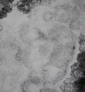 Antidote Fiction - Bombyx collectif